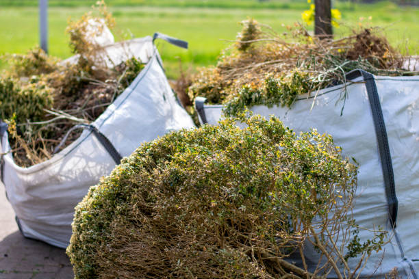 Attic Cleanout Services in Lake Murray Of Richland, SC